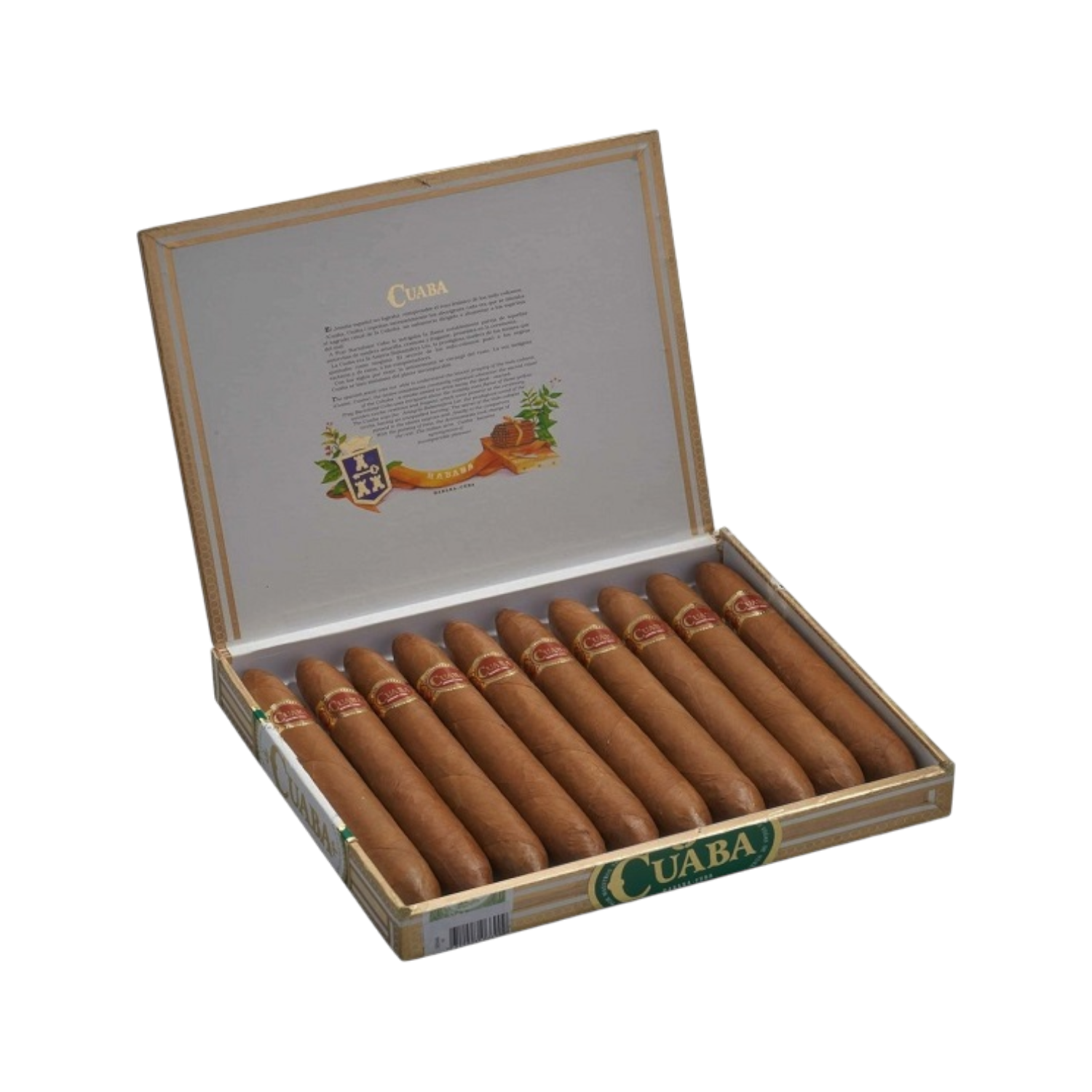CUABA Salomon 10s