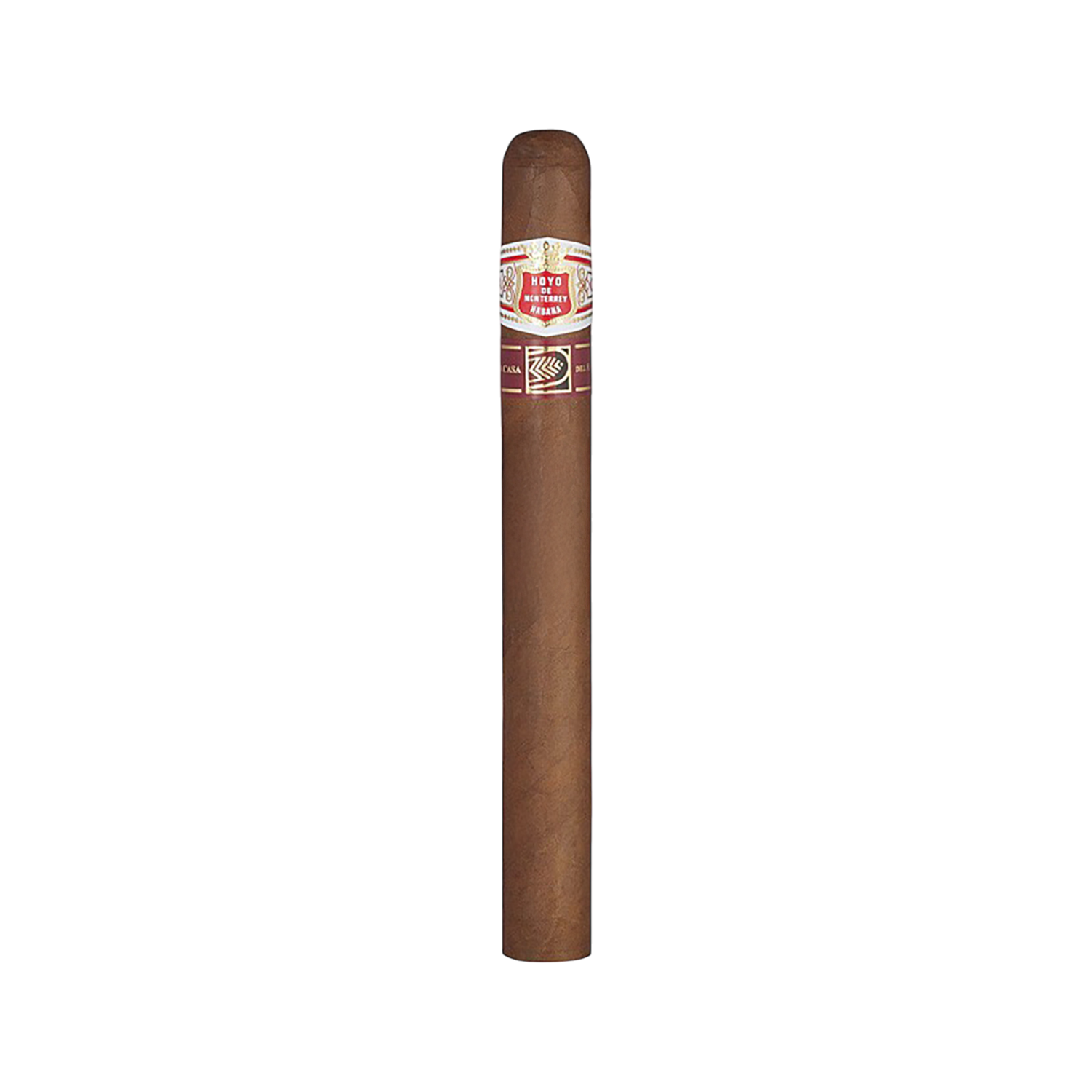 HOYO DE MONTERREY 10 Escogidos 10s