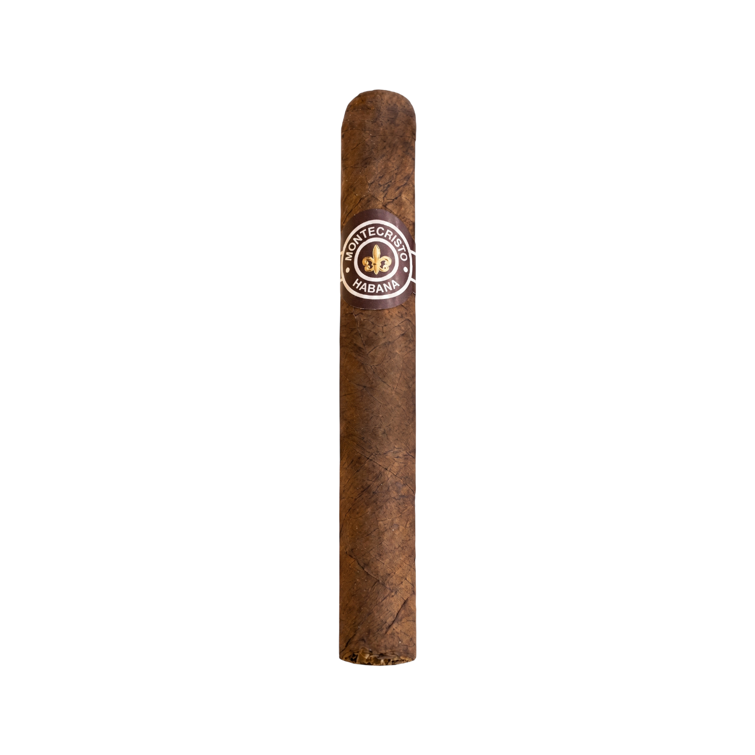 MONTECRISTO Short Humidor Year of the Snake 66s