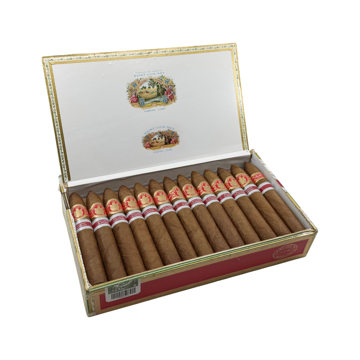 SAINT LUIS REY Belicosos 25s