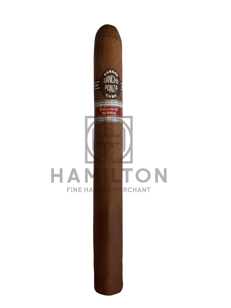 HAMILTON Sancho Panza Eslavo Edicion Regional Serbia 2014 cigar with dark brown wrapper and dual cigar bands