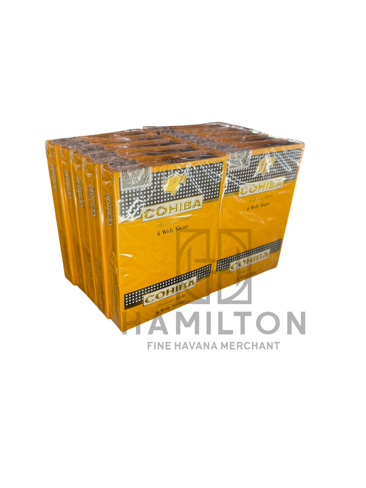 HAMILTON Cohiba Wide Short cigar packs in yellow branded packaging displayed on a wooden humidor shelf.