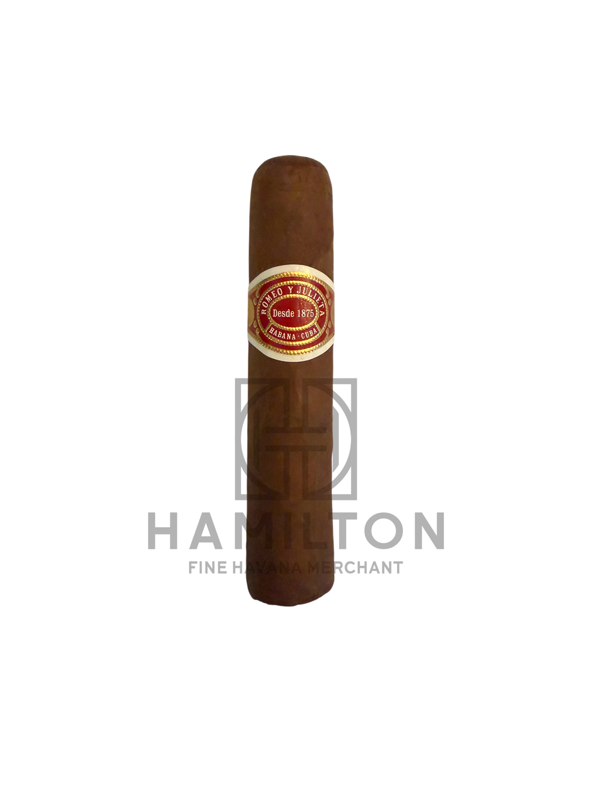 HAMILTON Romeo y Julieta Petit Royales cigar with a classic red and gold band on a light background