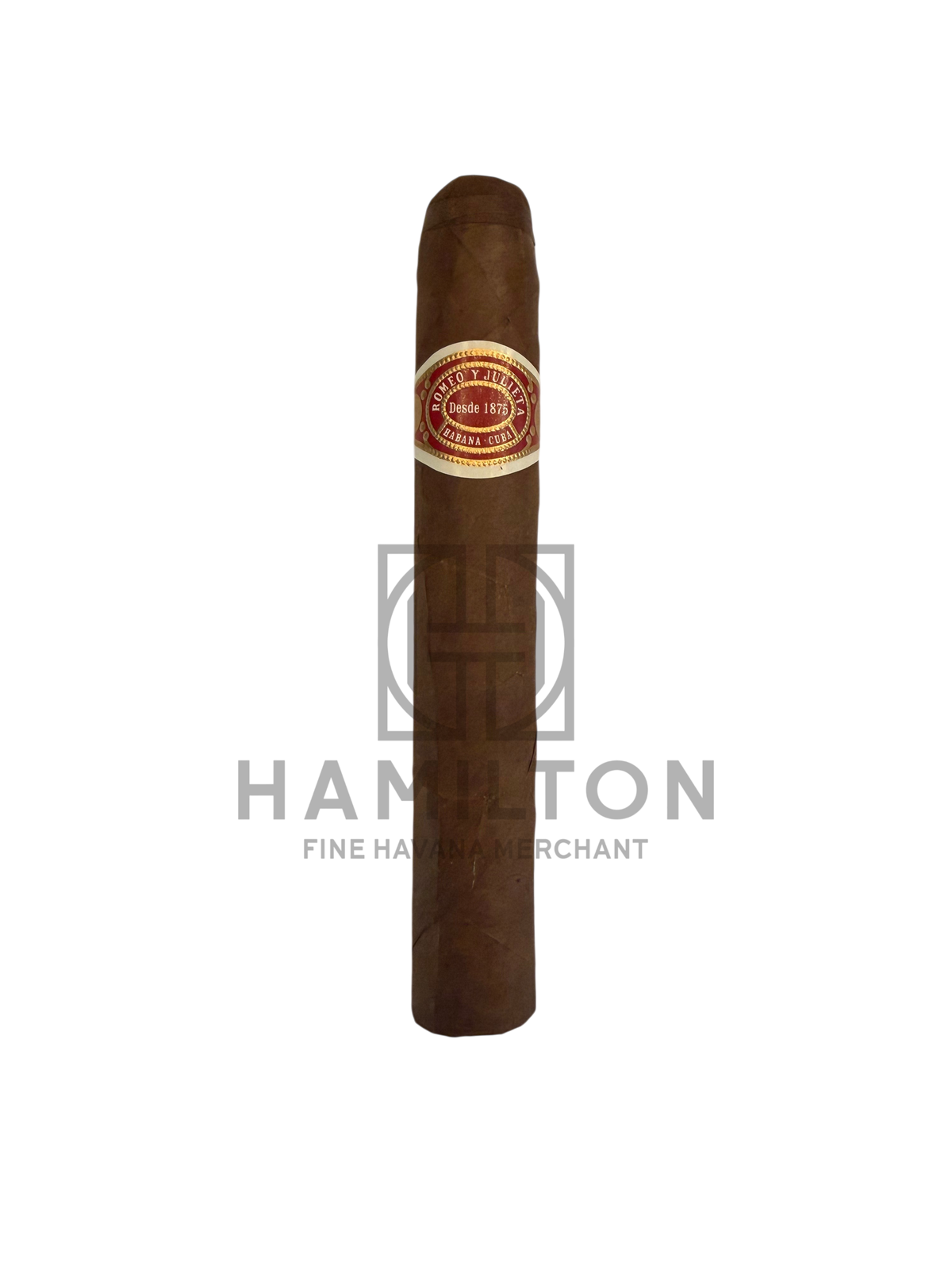 HAMILTON Romeo y Julieta Exhibicion No.4 cigar with a classic red and gold band on a white background.