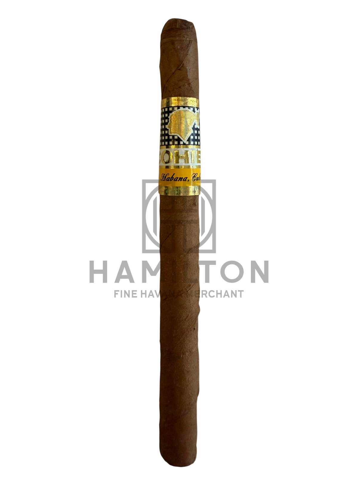 HAMILTON COHIBA Panetelas cigar with a signature gold and black band on a clean white background