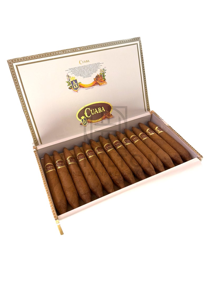 HAMILTON box of Cuaba Tradicionales double-figurado cigars with gold bands displayed in a humidor