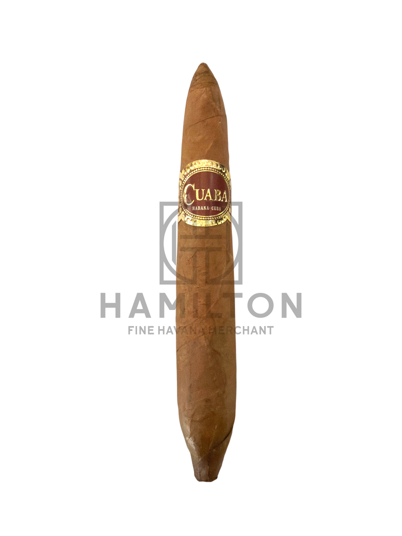 HAMILTON CUABA Tradicionales double-figurado cigar with a smooth brown wrapper and gold embossed band